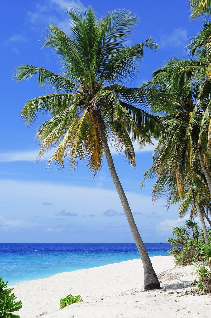 Maldives, Arabian Sea